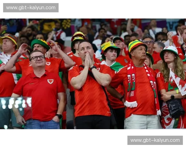 巴西世界杯的“德国战车”与“三狮军团”：恩怨情仇，激情与遗憾交织的绿茵传奇